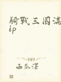 骑战三国满级vip