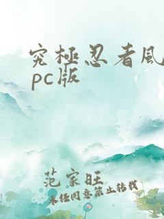 究极忍者风暴4 pc版