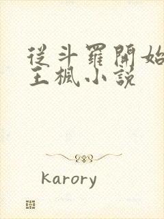 从斗罗开始打卡王枫小说