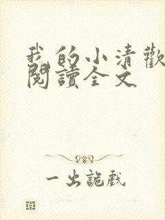 我的小清欢在线阅读全文