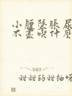 小腹坠胀尿频尿不尽吃什么药