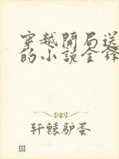 穿越开局送老婆的小说金锋