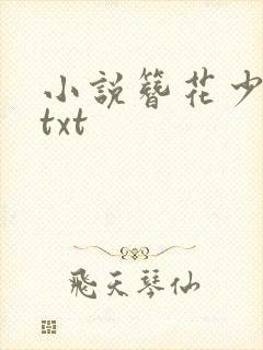 小说簪花少年郎txt