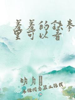 羞羞的铁拳从哪里可以看