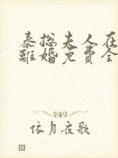 泰总夫人在找你离婚免费全集