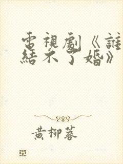 电视剧《谁说我结不了婚》