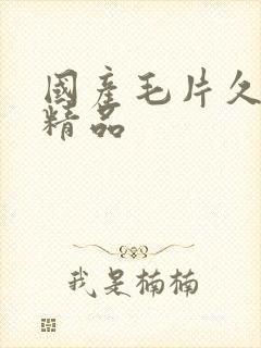 国产毛片久久久精品