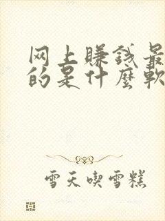 网上赚钱最可靠的是什么软件