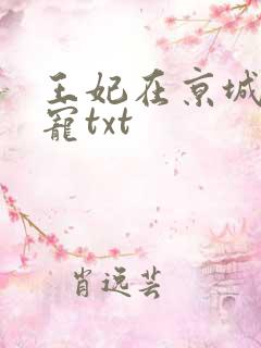 王妃在京城当团宠txt