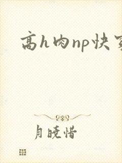 高h肉np快穿