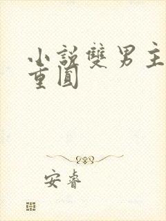 小说双男主破镜重圆