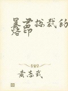 暴君总裁的狂烈烙印