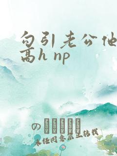勾引老公他哥(高h np
