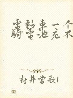 电动车一个月没骑电池充不进电