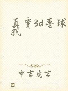 真实3d台球游戏