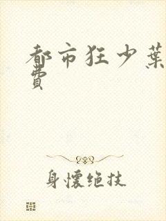 都市狂少叶凡免费