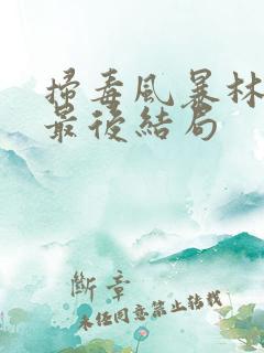 扫毒风暴林强风最后结局