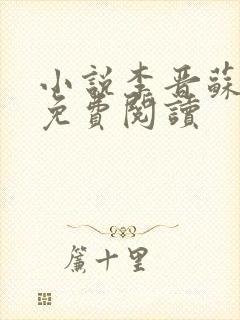 小说李晋苏晚晴免费阅读