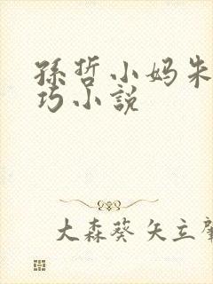 孙哲小妈朱颜叶巧小说