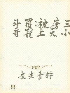 斗罗:被唐三哥哥宠上天小说读