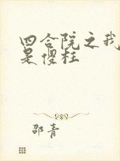 四合院之我不再是傻柱