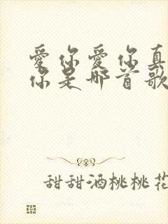 爱你爱你真的爱你是哪首歌的歌词