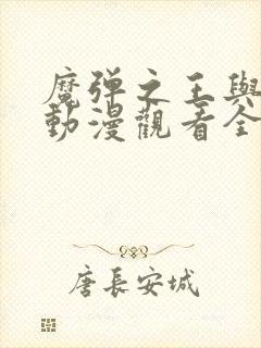 魔弹之王与战姬动漫观看全集