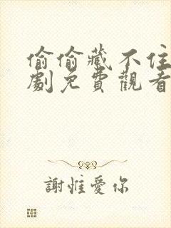 偷偷藏不住电视剧免费观看完整版