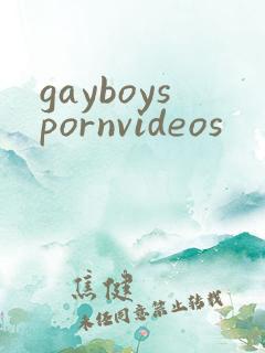gayboyspornvideos