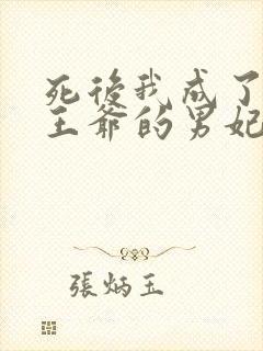 死后我成了病弱王爷的男妃