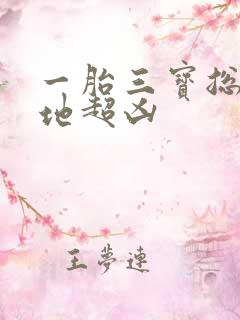 一胎三宝总裁爹地超凶