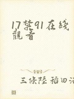 17禁91在线观看