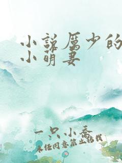 小说厉少的闪婚小萌妻