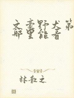 文豪野犬第三季哪里能看