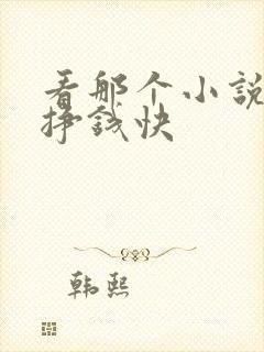 看那个小说软件挣钱快