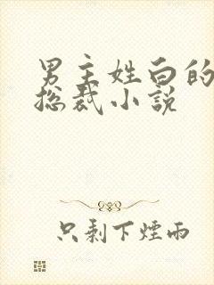 男主姓白的霸道总裁小说