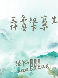 三年级写生字用什么本子