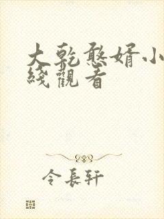 大乾憨婿小说在线观看