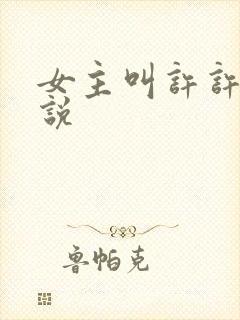 女主叫许许的小说