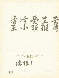 清冷受生子双男主小说推荐