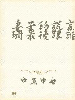 妻子的谎言江一珊最后跟谁在一起