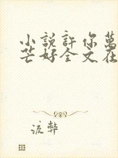 小说许你万丈光芒好全文在线阅读