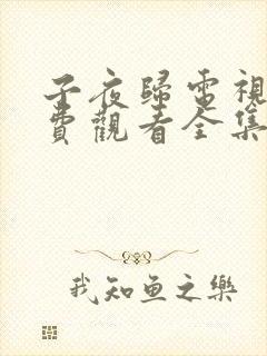 子夜归电视剧免费观看全集高清14