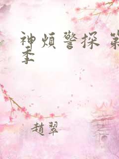 神烦警探 第五季