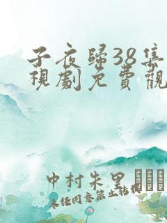 子夜归38集电视剧免费观看全集高清