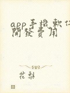 app手机软件开发费用