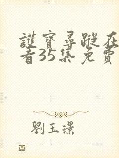 护宝寻踪在线观看35集免费