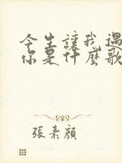 今生让我遇见了你是什么歌