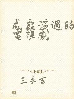 成毅演过的所有电视剧