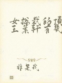 女总裁的顶级兵王叶轩有几个女人